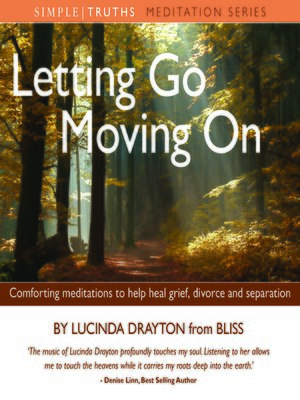 cover image of Letting Go, Moving On